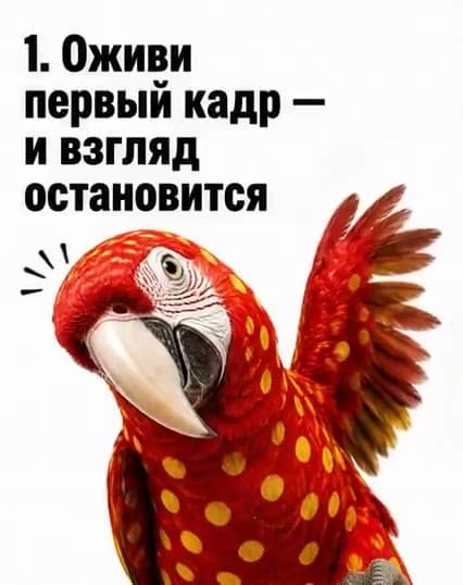 Пример обложки